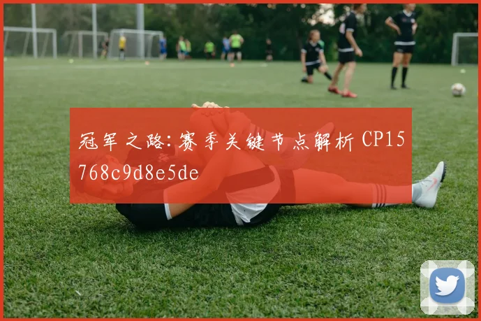 冠军之路:赛季关键节点解析 CP15768c9d8e5de