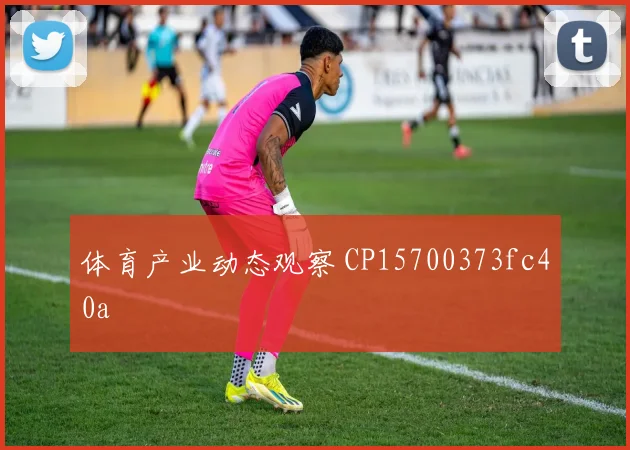 体育产业动态观察 CP15700373fc40a